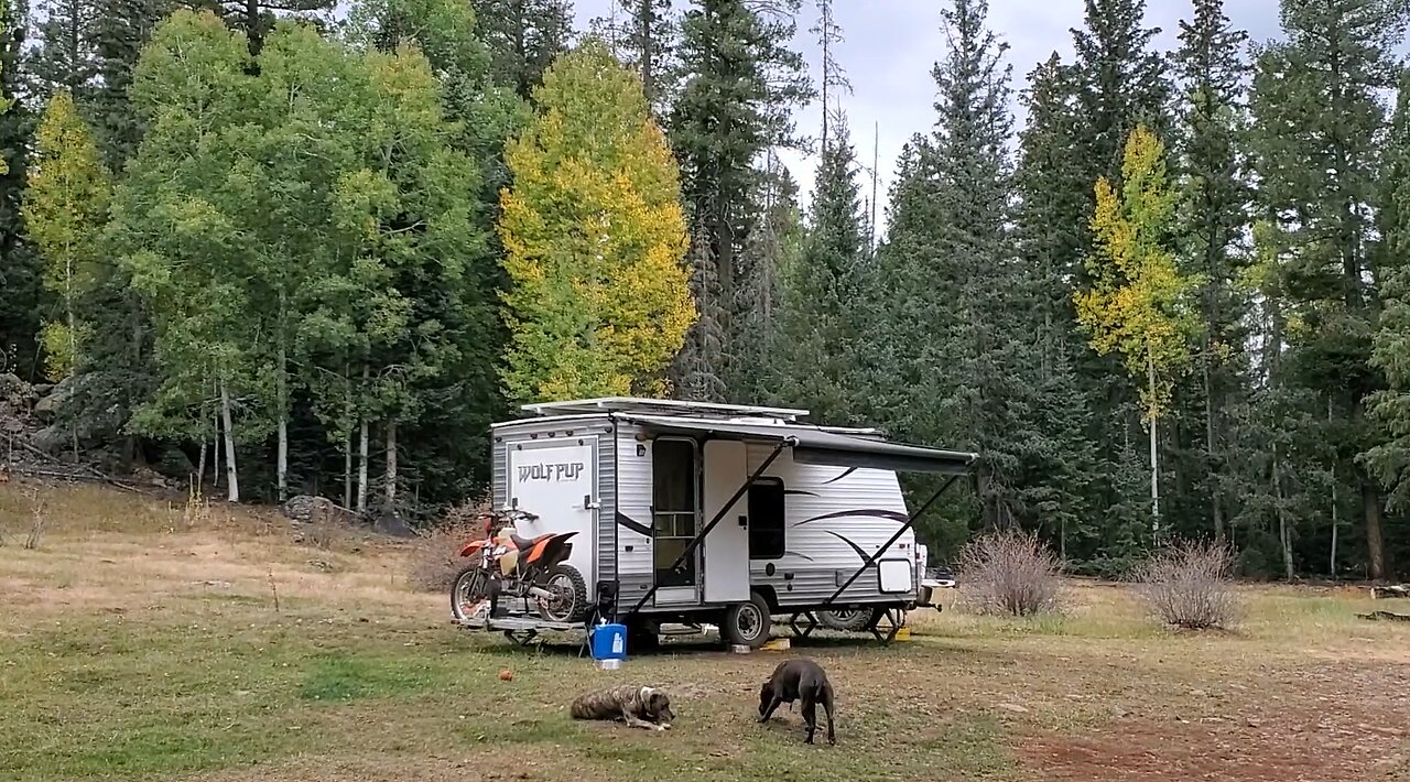 **NEVER SEEN** Behind the Scenes Operations Unmuzzled Chat in the Wilderness!