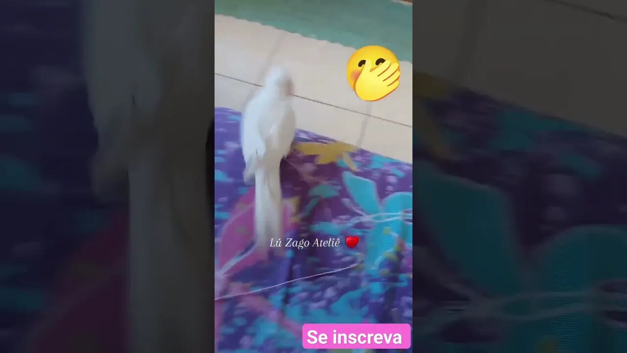 ♥️ NÃO CONSIGO CROCHETAR ♥️🤦🏼♀️