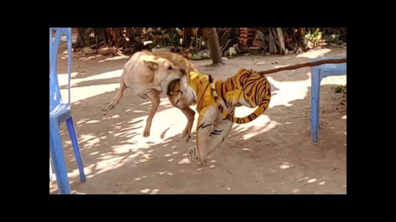 Wow Nice Prank! Fake Tiger Prank Dog Run So Funny Action|