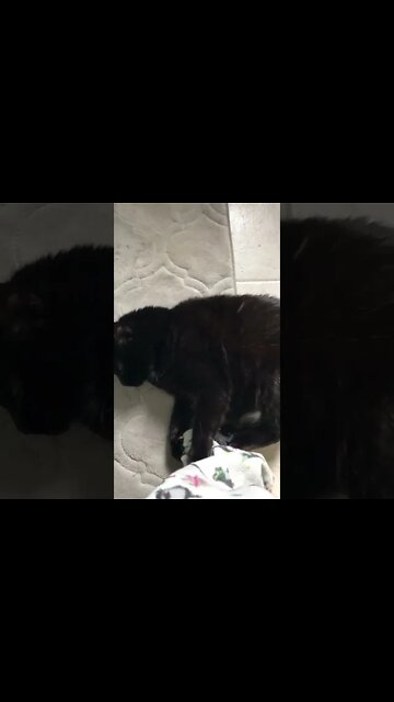 Shadow Attacking My Foot