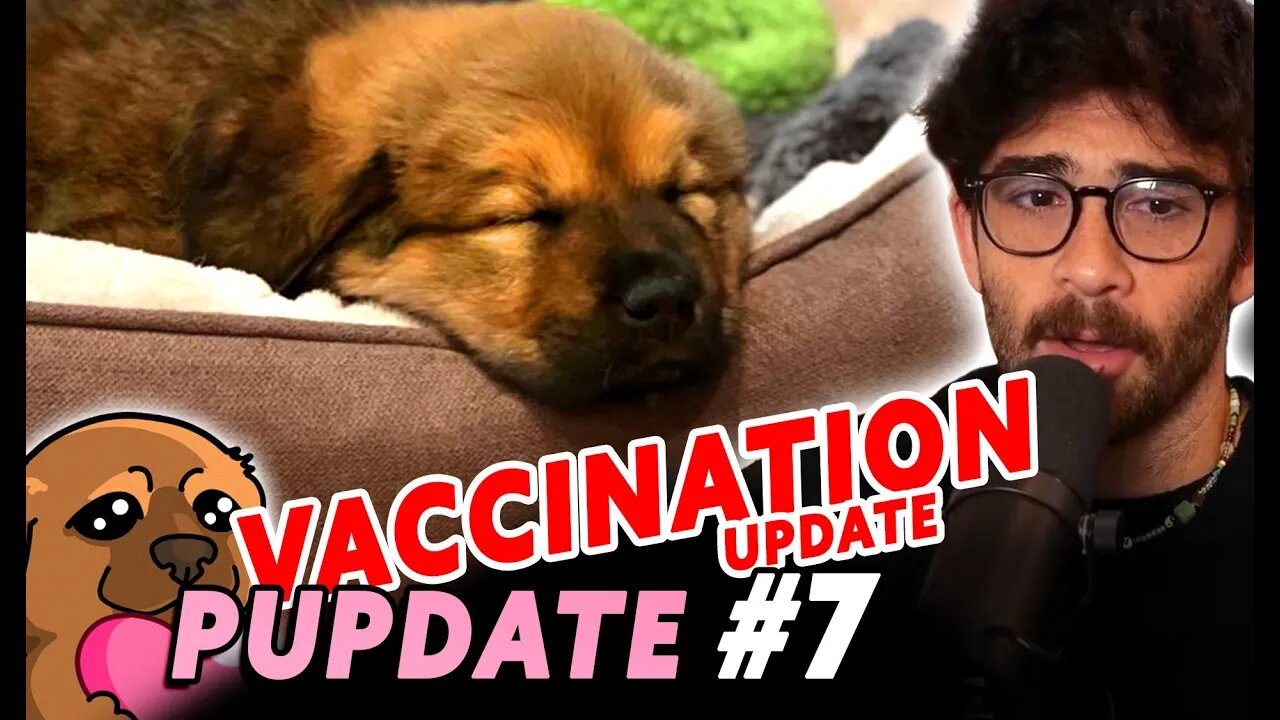 The KAYA Vaccination Arc has begun | PUPDATE #7