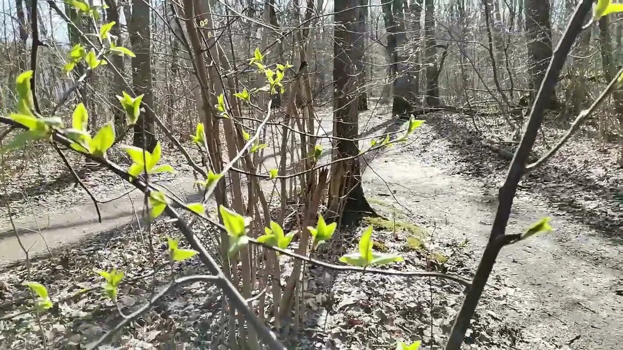 dawanie … przyjmowanie