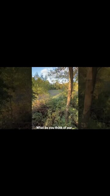 This Evenings Hang & Hunt (Thoughts??)