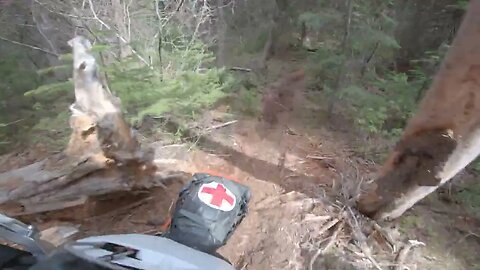 Feet On The Pegs!