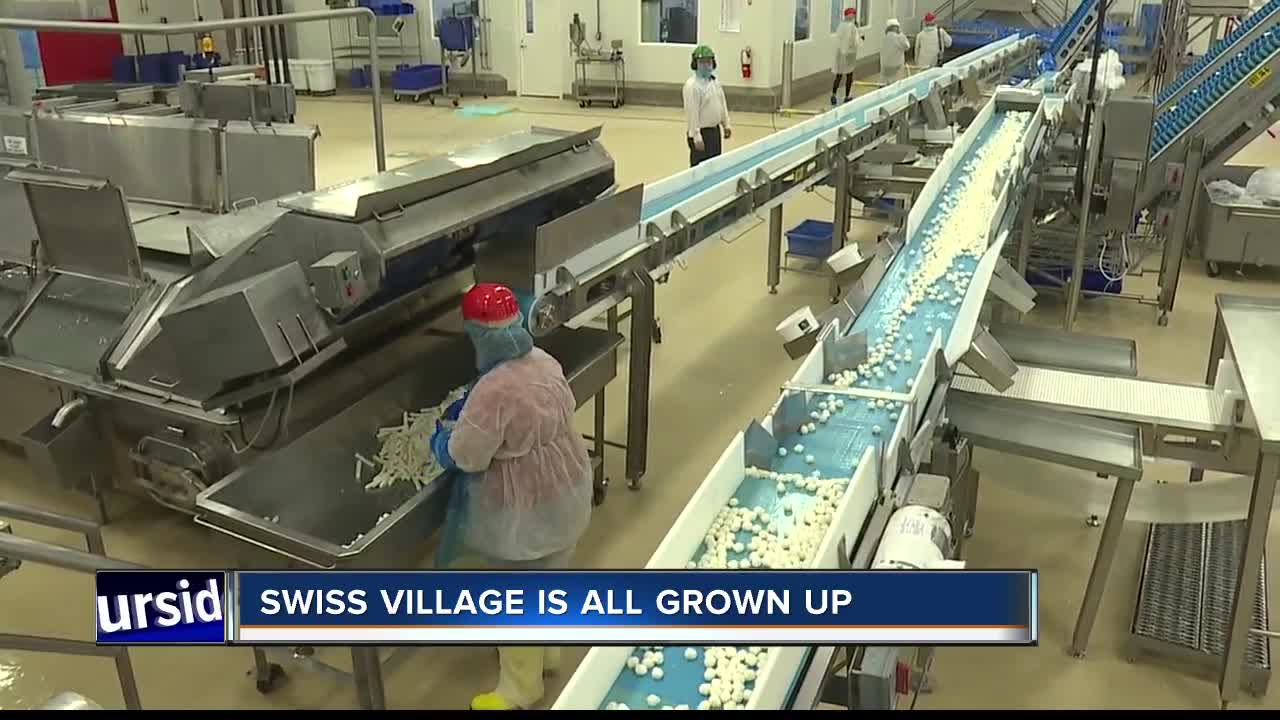 Tour inside a massive Treasure Valley cheese factory