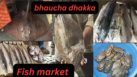 Mumbai Big Fish ish Market
