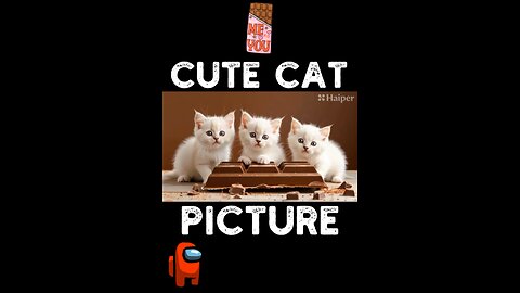 Cute Cat Picture