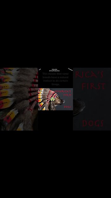 Dogs have been bred for thousands of years