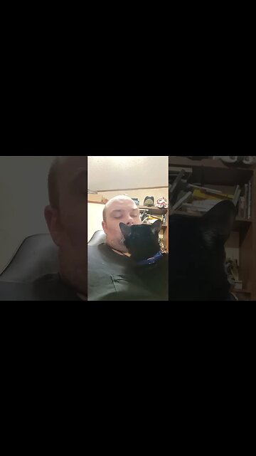 Kitty says I'm dirty #shortsfeed #kitty #cat #shortsvideo #youtubeshorts #kittycat #cutekitty