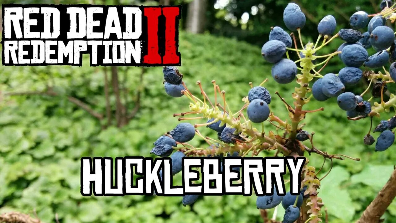 Localização Huckleberry red dead online