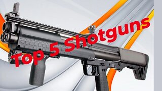 Top 5 Shotguns Reaction Video