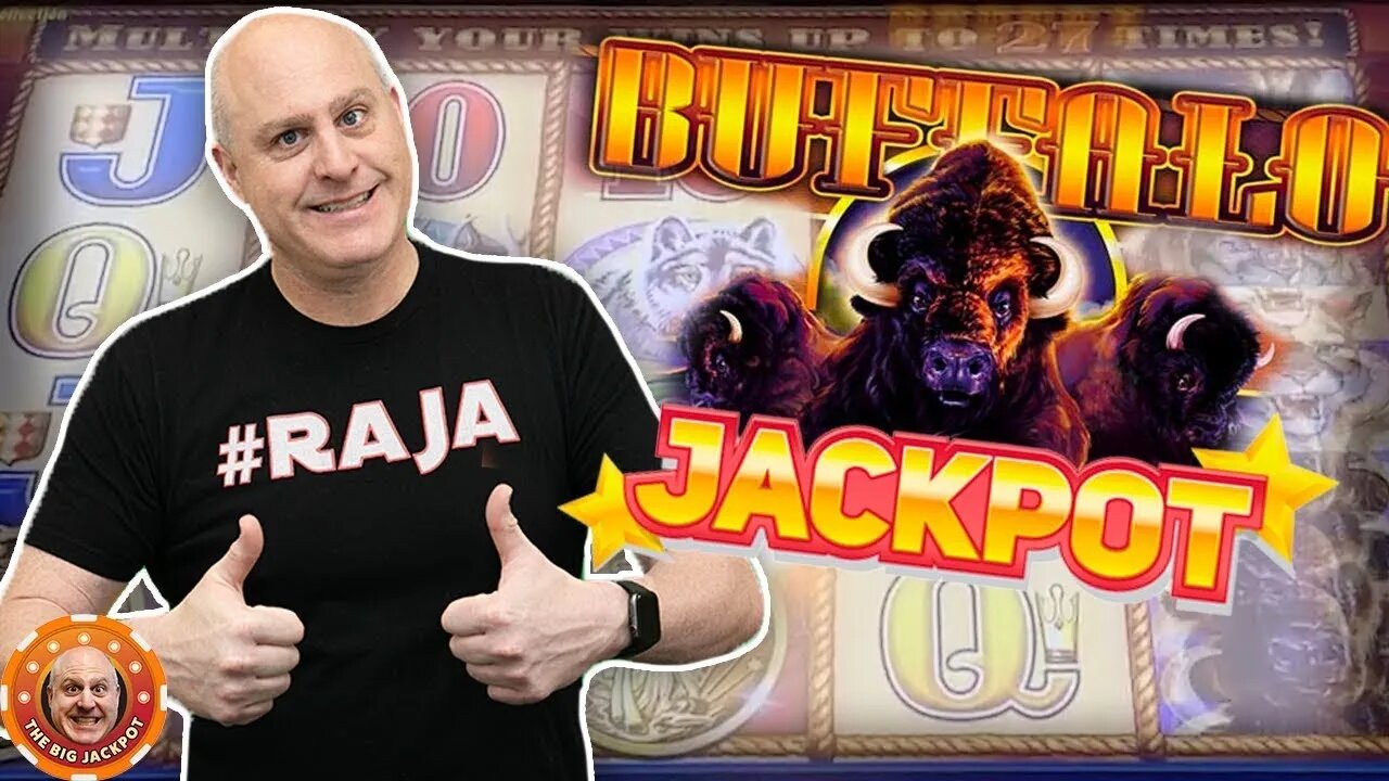 🌟BIG BUFFALO BONUS! 🌟High Limit Buffalo Gold WIN$ 🎰 | Raja Slots