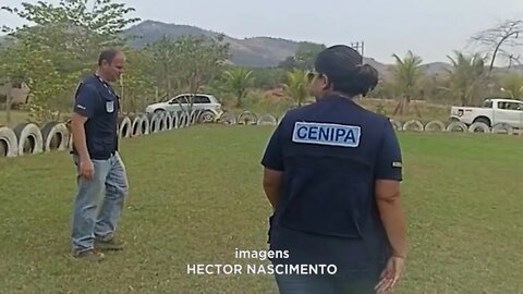 Engenheiro Caldas: Técnicos do Cenipa na Área da Queda do Helicóptero com Deputado e Vice-Prefeito.