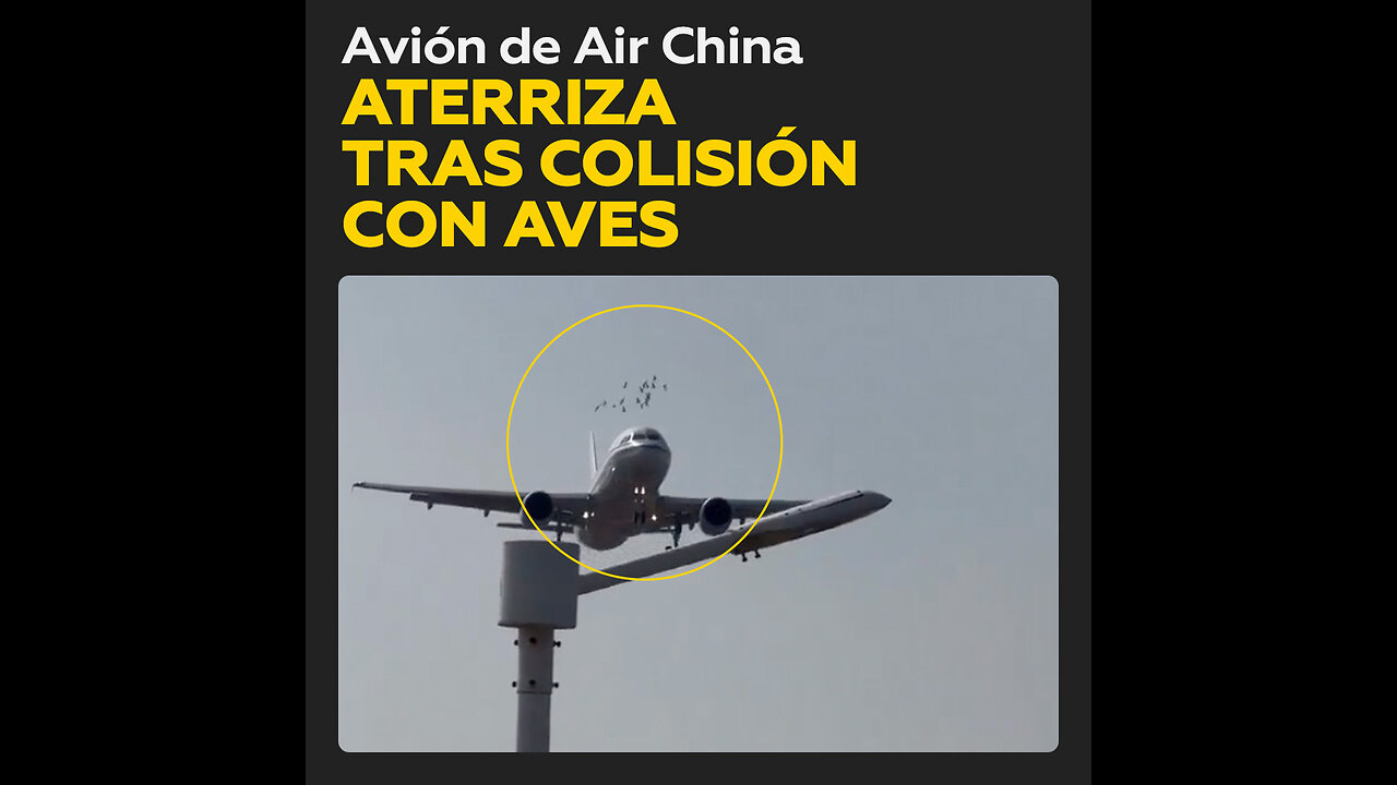 Avión de Air China aterriza seguro tras incidente con aves