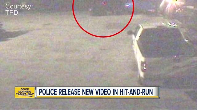 Detectives continue to search for driver in fatal hit and run in Tampa