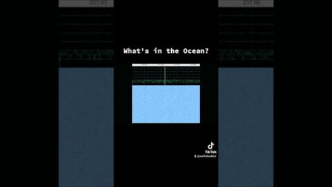 what's in the Ocean