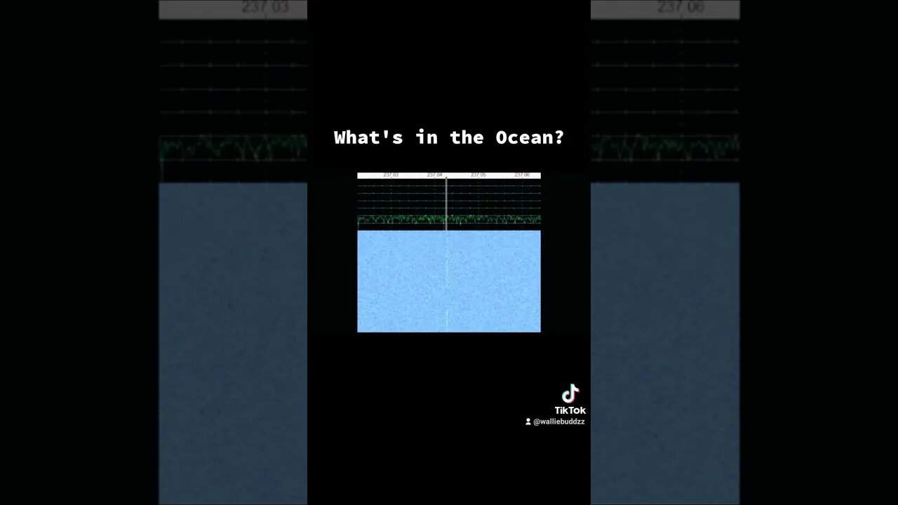 what's in the Ocean