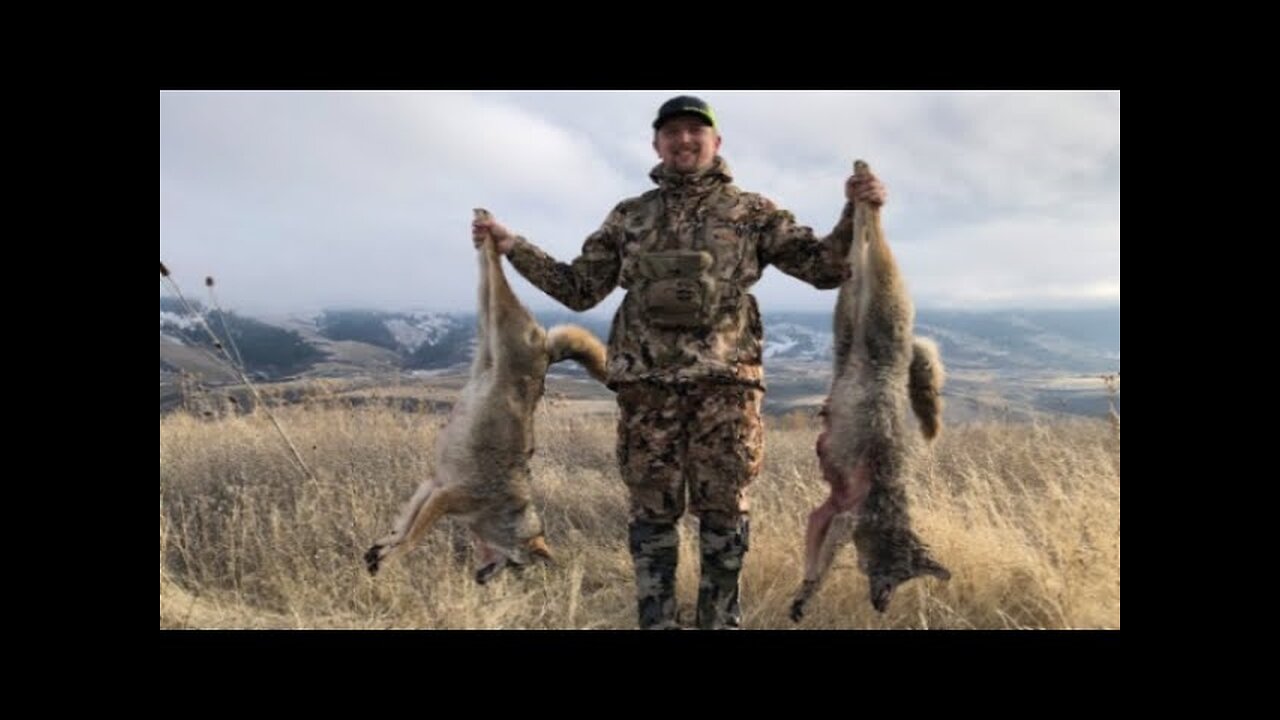 Coyote Hunting - Calling in Coyotes - MARKSMAN'S CREED - 5