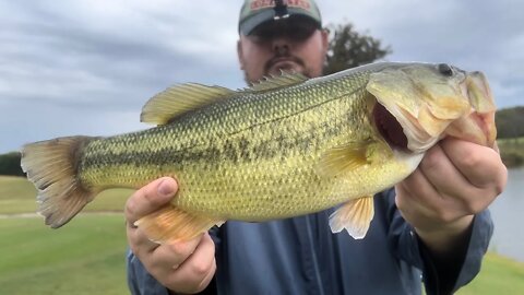 MONSTER BASS Caught In FLOOD WATER (INSANE)