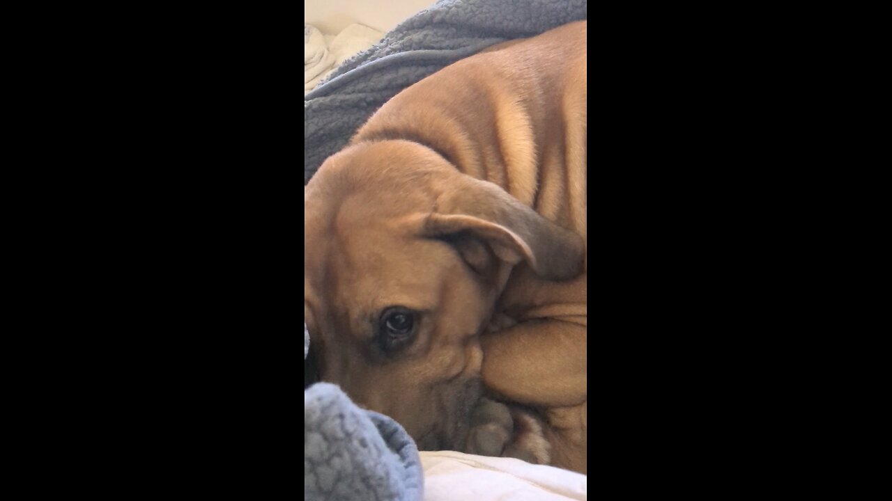 It's fall? Wake me when spring comes!