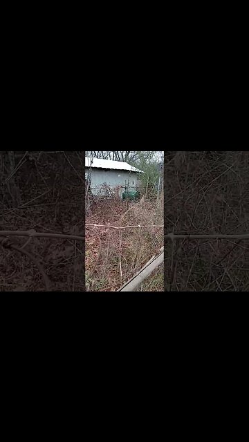 december garden update