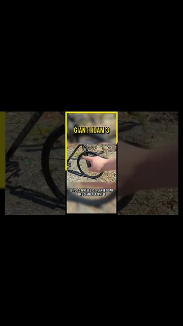 From City Streets to Mountain Peaks: The Versatility of the Giant Roam 3