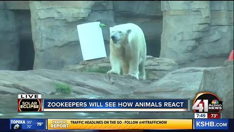 KC zookeepers anticipate solar eclipse