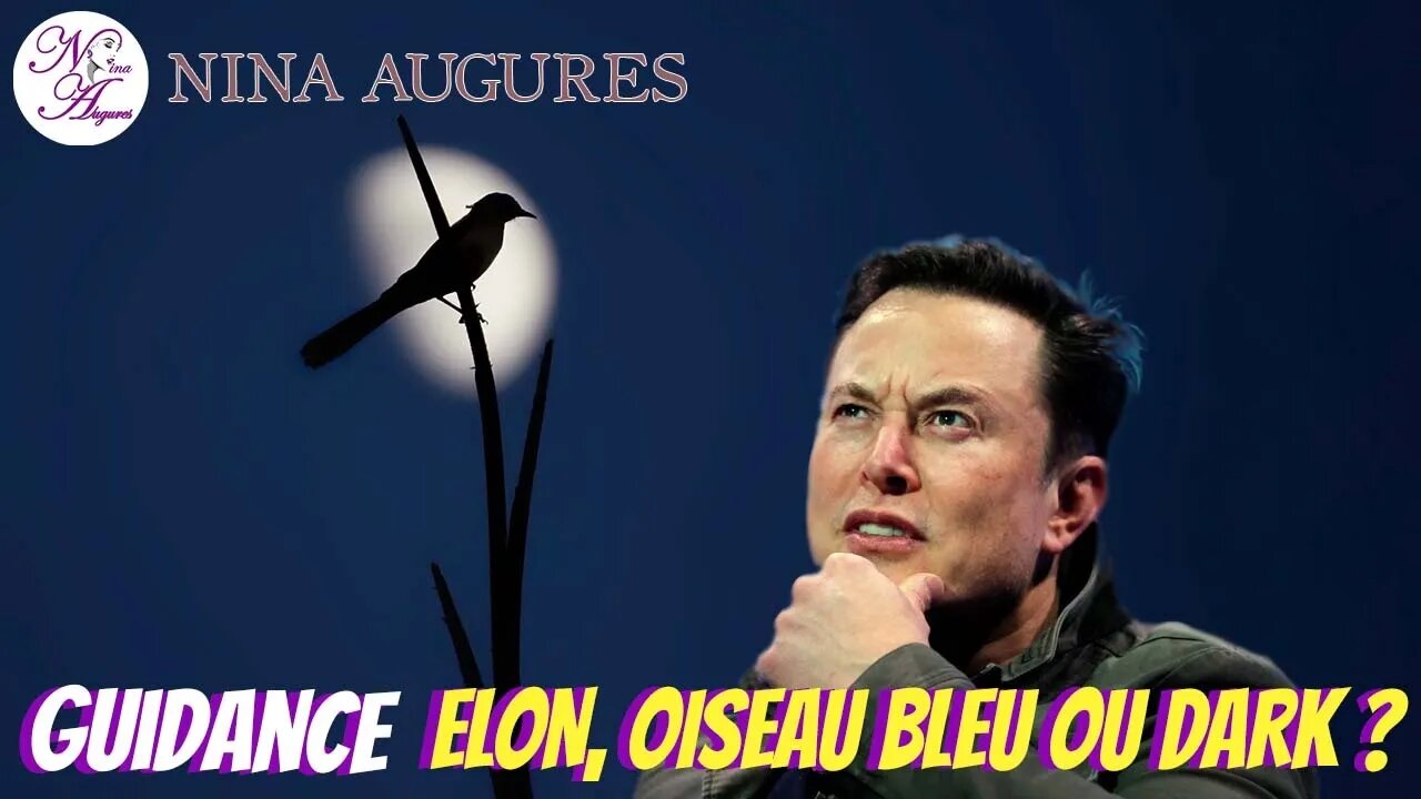 Elon, oiseau bleu ou dark ? 15/11/2022