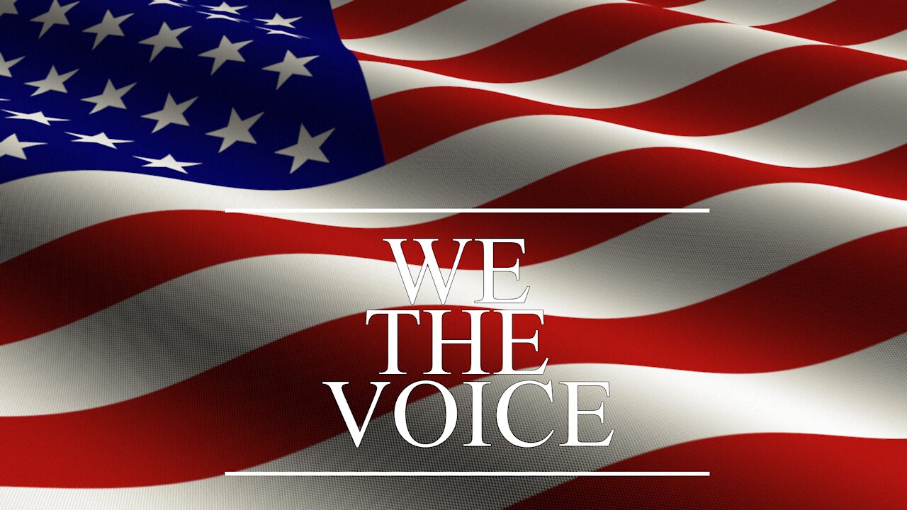 WE THE VOICE! Podcast Episode 1 - Impeachment Overview and Disney Cancel Culture