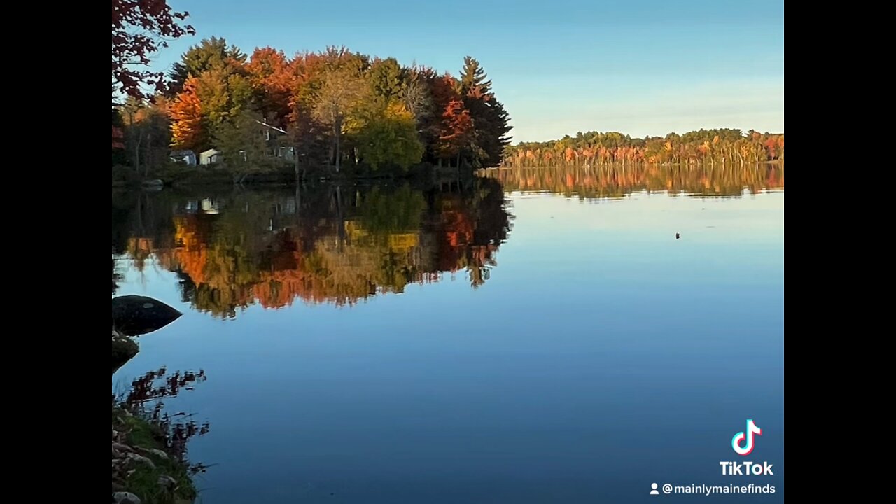 Fall in maine