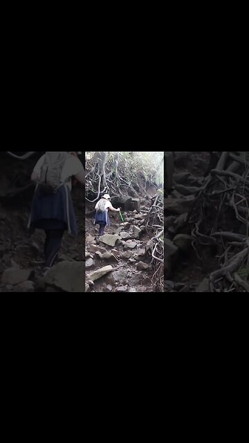 Hiking in Japan 🇯🇵 Mount Kintoki