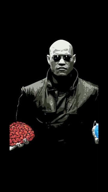 MemeSplash | RedPill