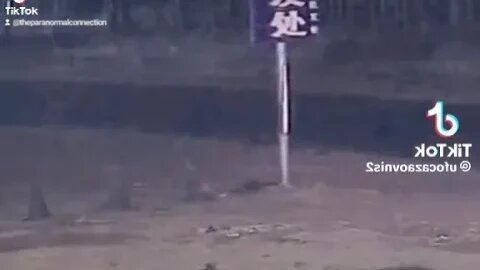 Where did he go?