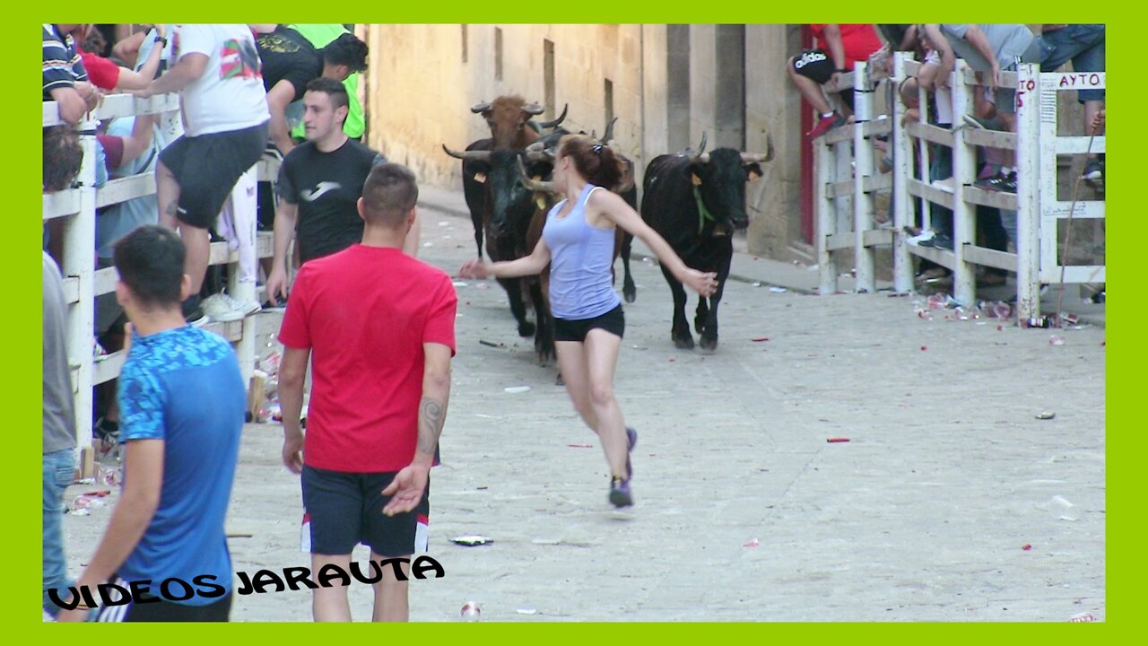 UNCASTILLO ( ZARAGOZA ) TARDE VACAS CALLE ( DOMINGO 29 MAYO 2022 ) HNOS.GRACIA BLASCO