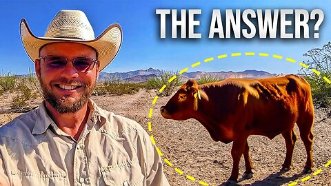 Healing The Desert With A Different Approach