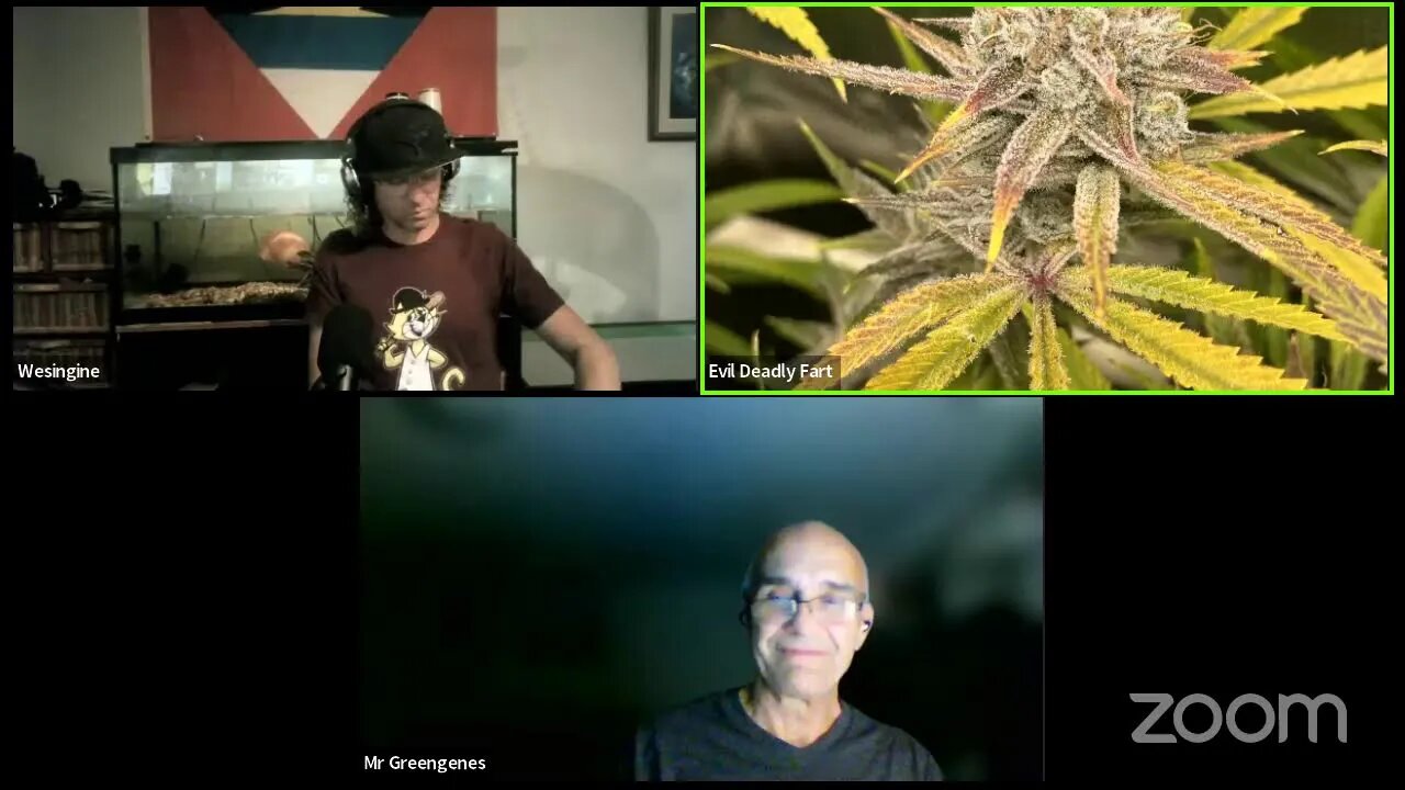 Dat Smoke Show Mr Greengenes Cherry bombs