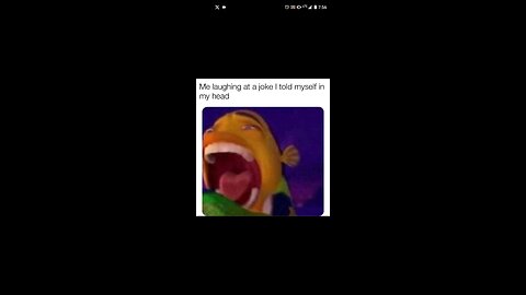 Memes #7