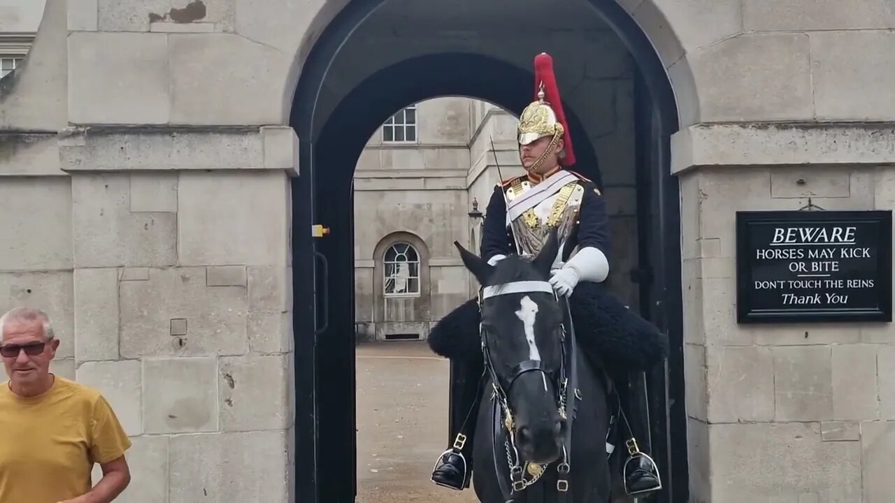 The horse doesn't like the colour mustard #horseguardsparade