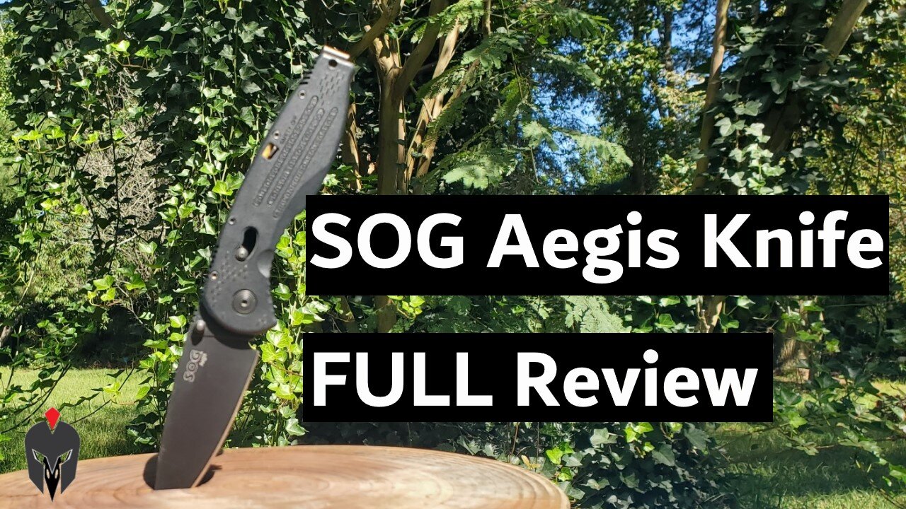 Full SOG Aegis Folding Knife Review, Best EDC Carry Knife!