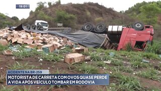 Acidente na BR-259: Motorista de Carreta com Ovos quase perde a vida após Veículo tombar em Rodovia.