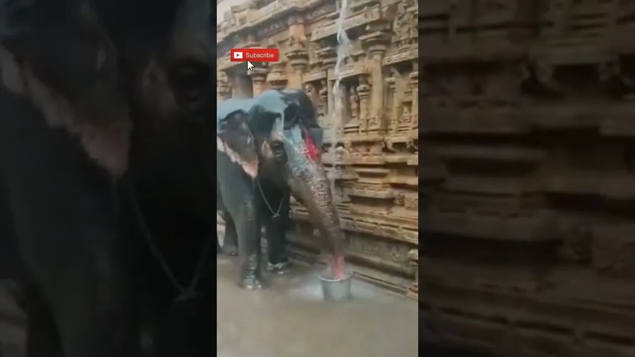 Incredible India