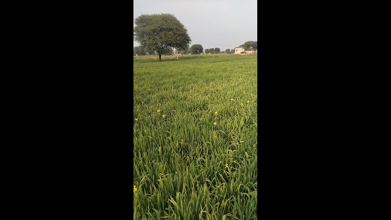 farming