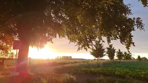 The EARLY BIRD catches the WORM: morning meditation GOLDEN SUNRISE