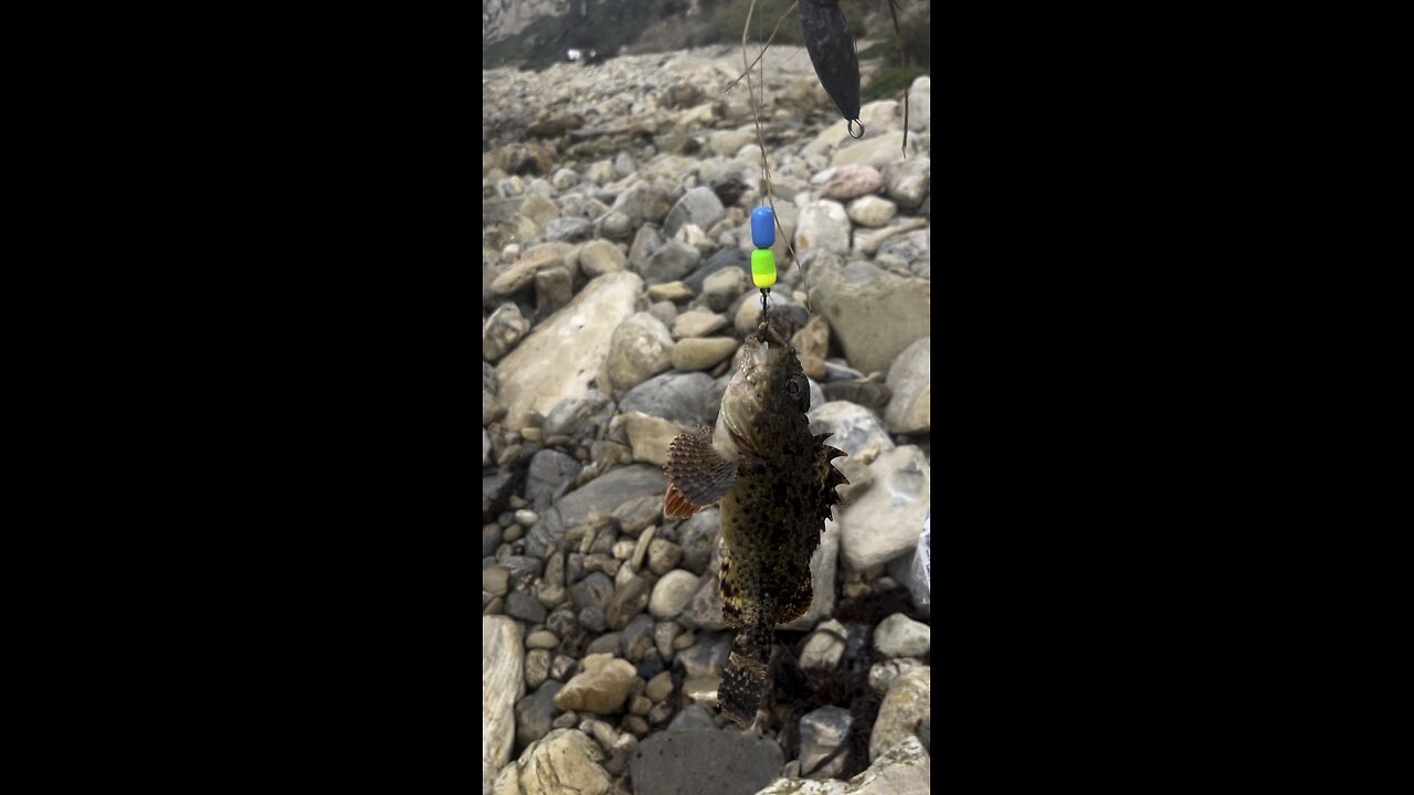 Malaga Cove: Fishing dinky skulpin