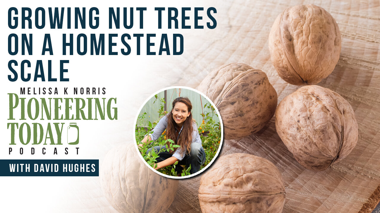 EP: 421 Growing Nut Trees on a Homestead Scale (What You Need to Know)