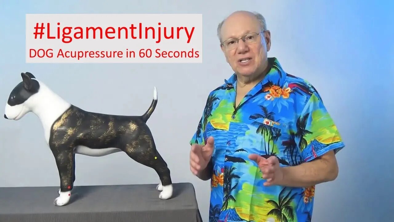 Doggy Ligament Care: Acupressure