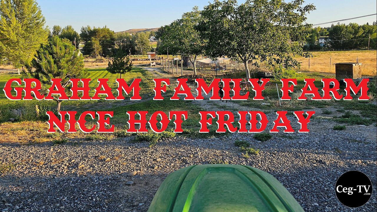 Graham Family Farm: Nice Hot Friday