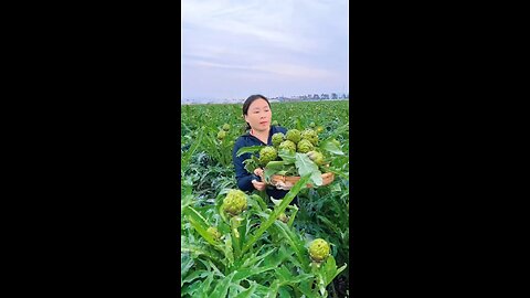 Various Vegetables Harvest #satisfying #shot