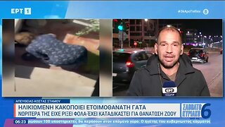 Ηλικιωμένη κακοποιεί ετοιμοθάνατη γάτα, νωρίτερα της είχε ρίξει φόλα (ΕΡΤ, 23/10/2022)