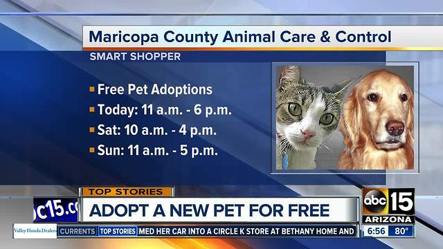 FREE pet adoptions at MCACC this weekend in honor of longtime kennel worker